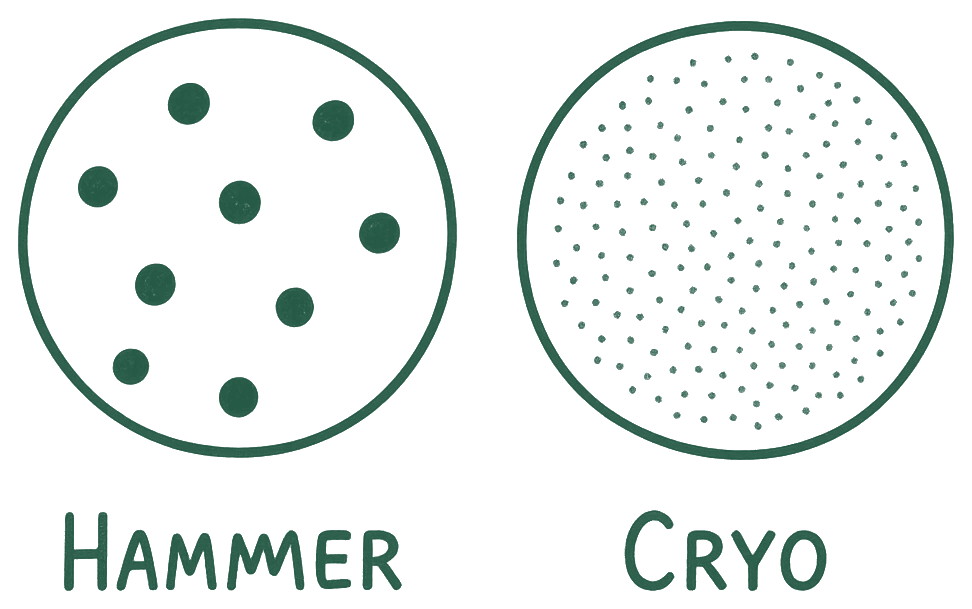 A hand-drawn comparison of two particle fields, labelled “Hammer” and “Cryo”.
