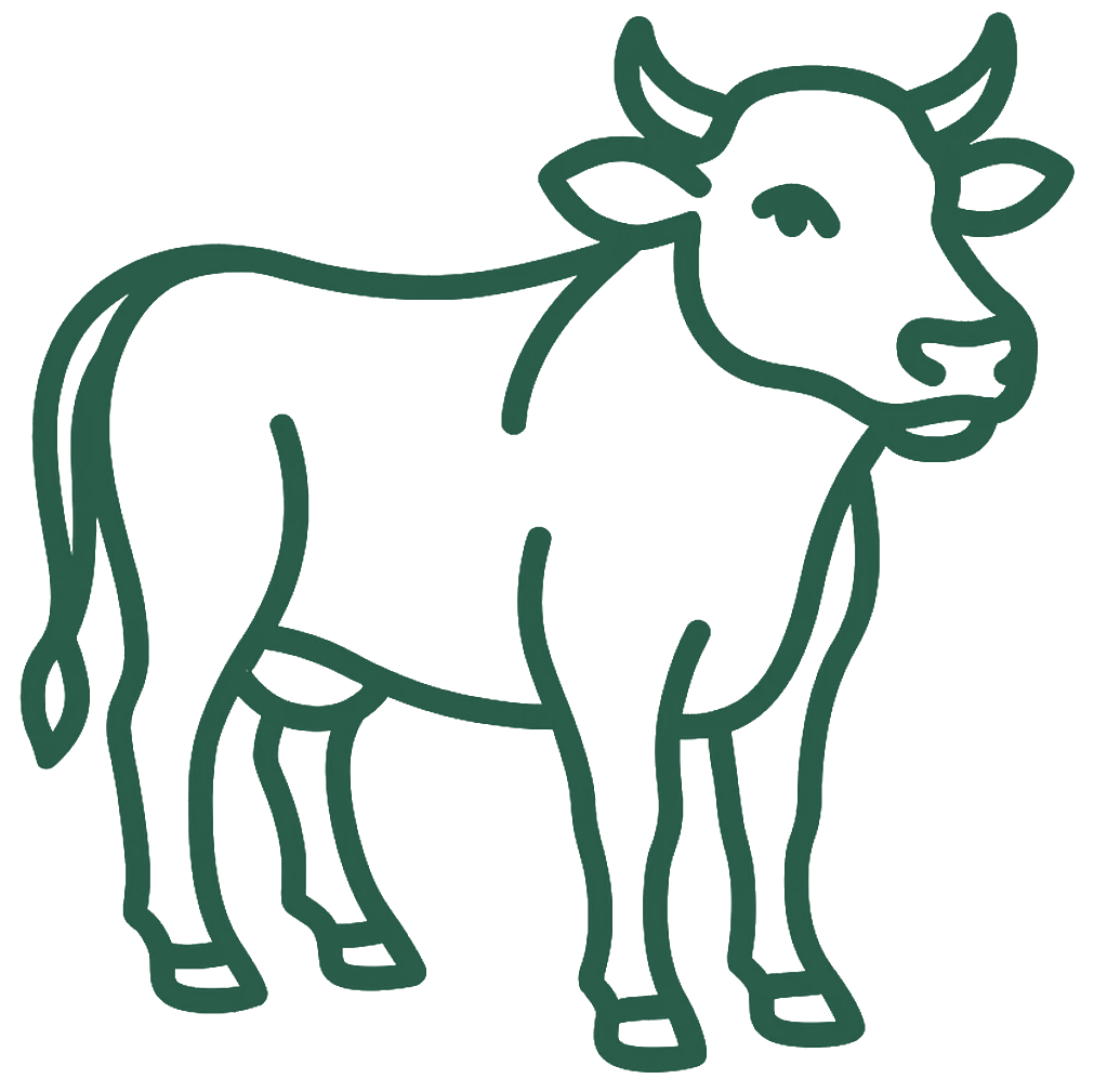 A hand-drawn cow.