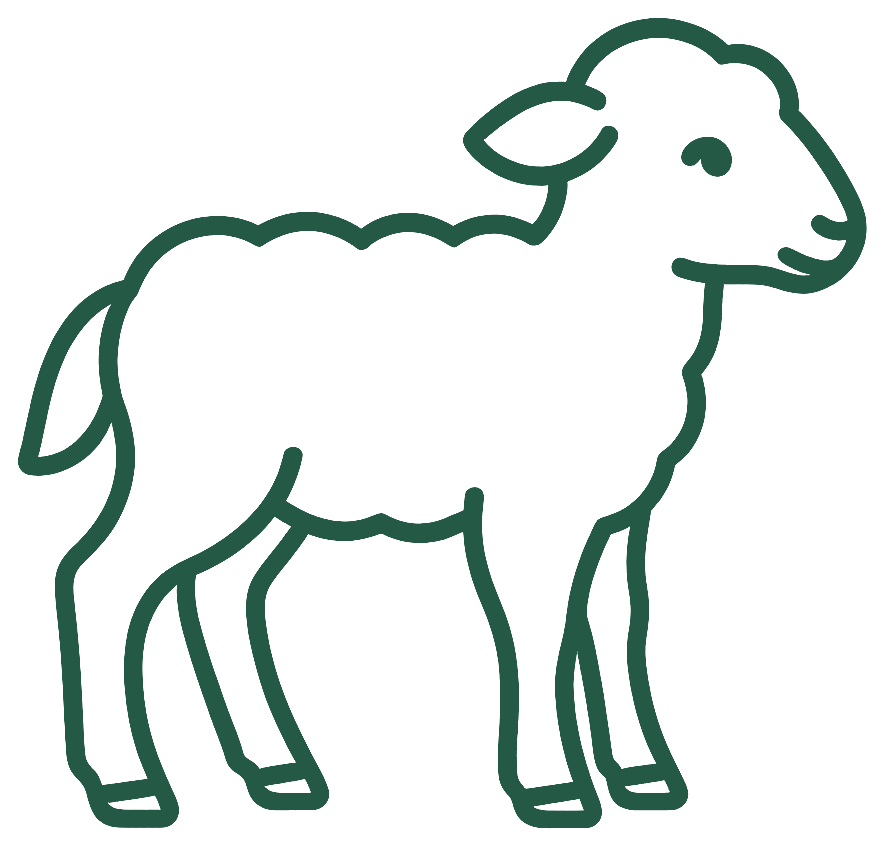 A hand-drawn sheep.